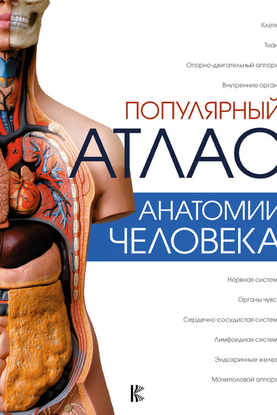 Популярный атлас анатомии человека
